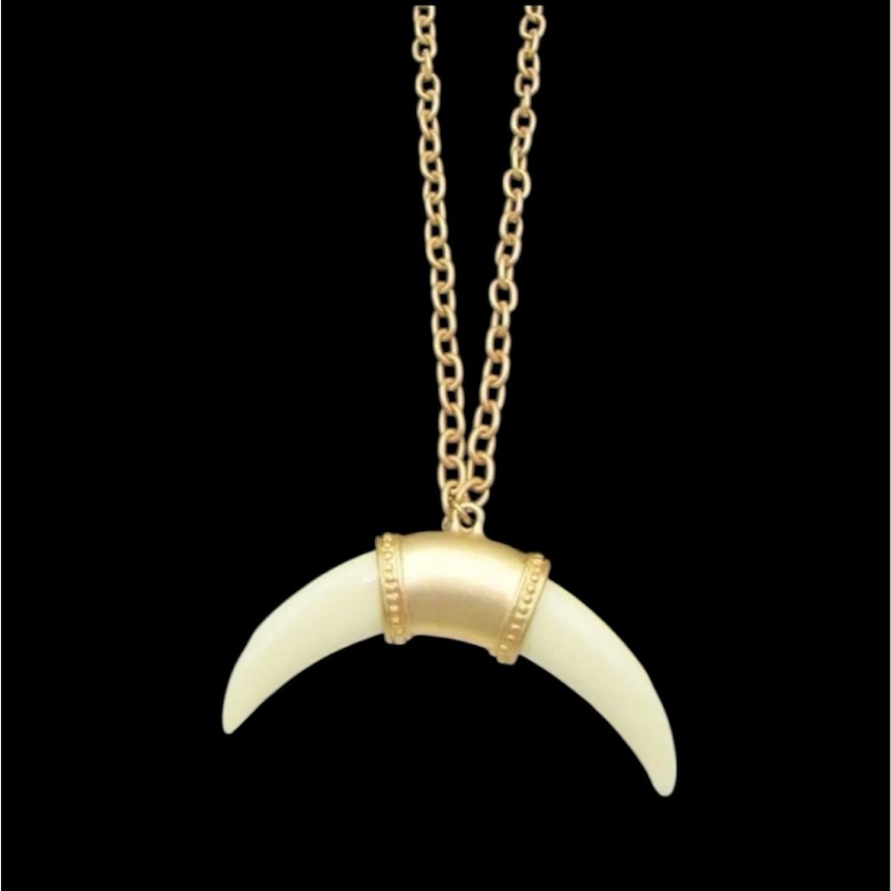 N326 Signed Blakely Horn Lucite Pendant Long Gold Tone Chain Necklace